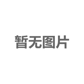 热烈祝贺全国两会胜利召开——追梦新时代 奋斗新征程